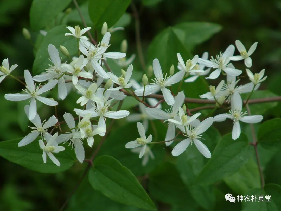 1708417508536806.jpg 640 (5).jpg