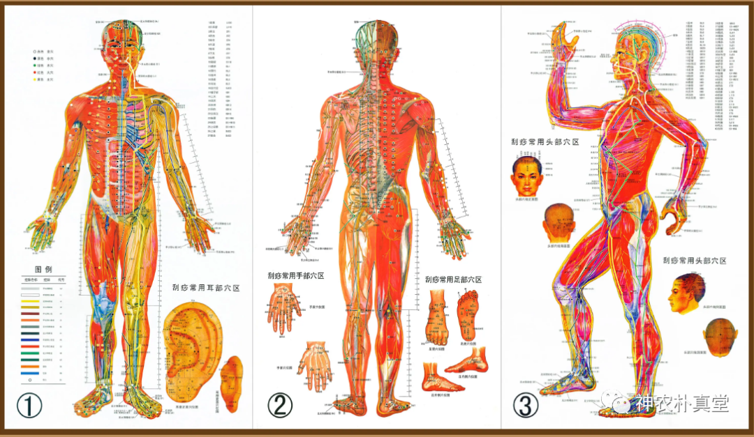 1708417621106250.png 640.png