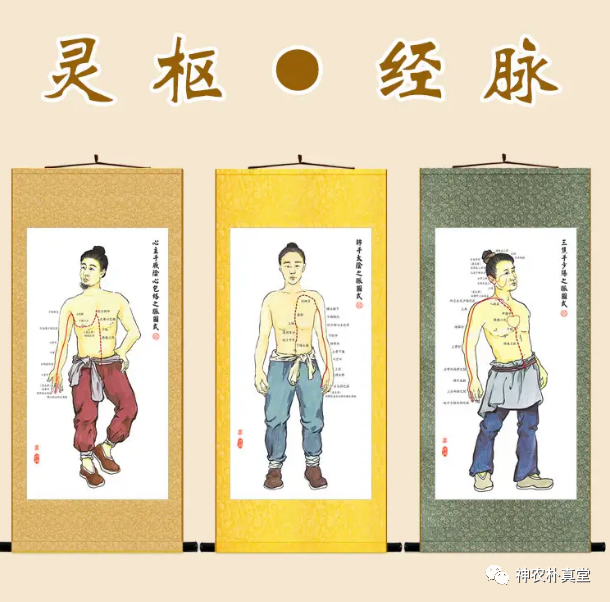 1708417646936179.png 640 (1).png