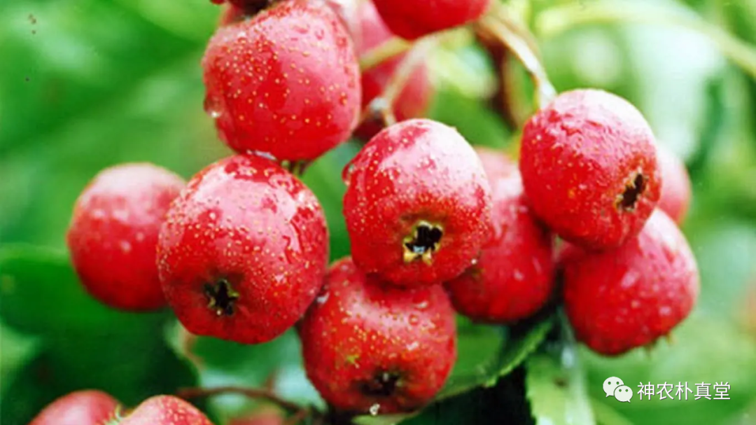 1708418246370123.png 640 (5).png