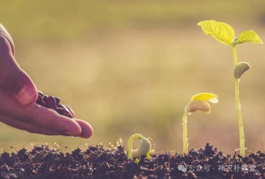 1708419400665588.png 640 (1).png