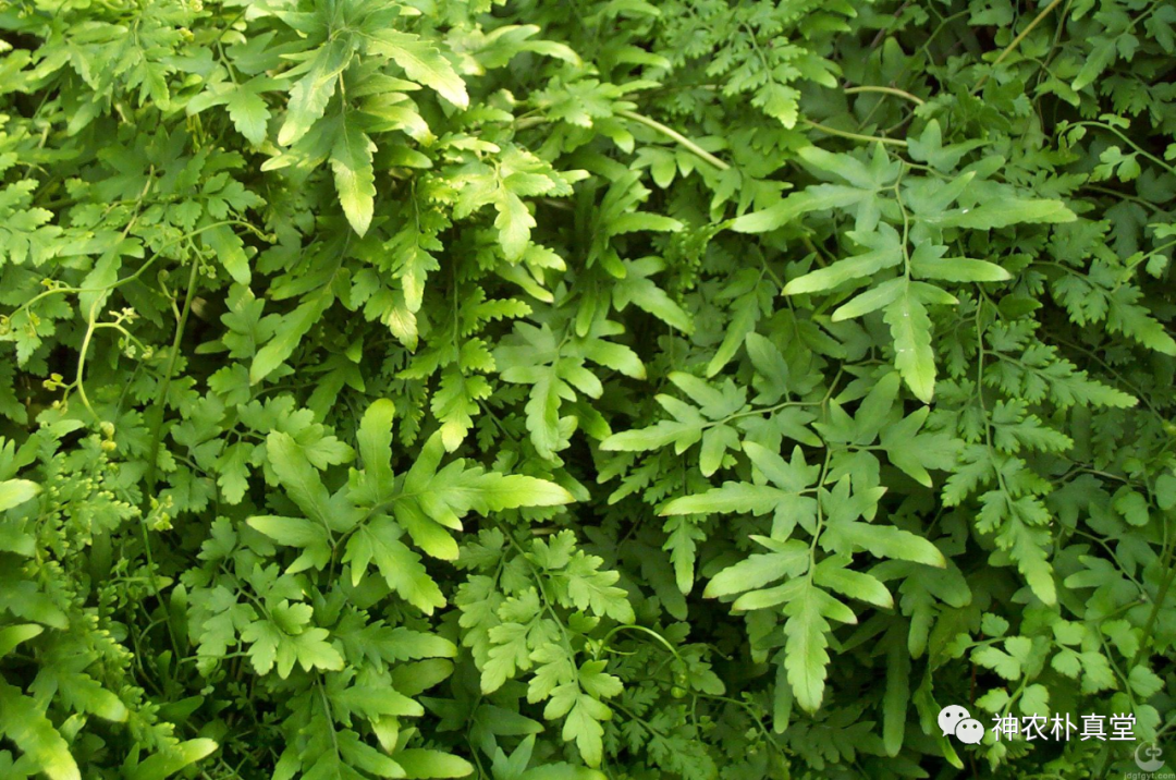 1708420577448161.png 640 (1).png