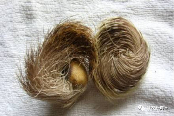 1708420627688710.png 640 (5).png