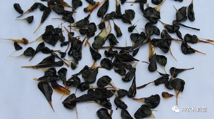 1708420679936336.png 640 (9).png