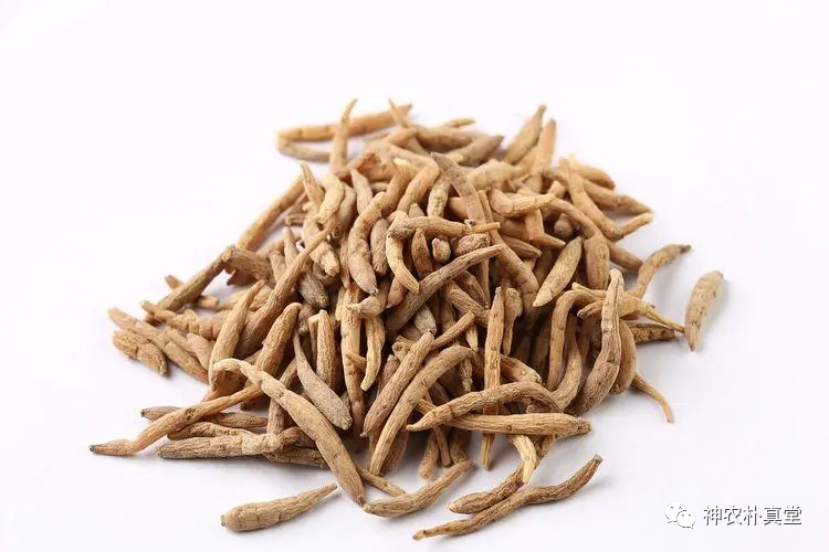 1708420712944039.png 640 (12).png