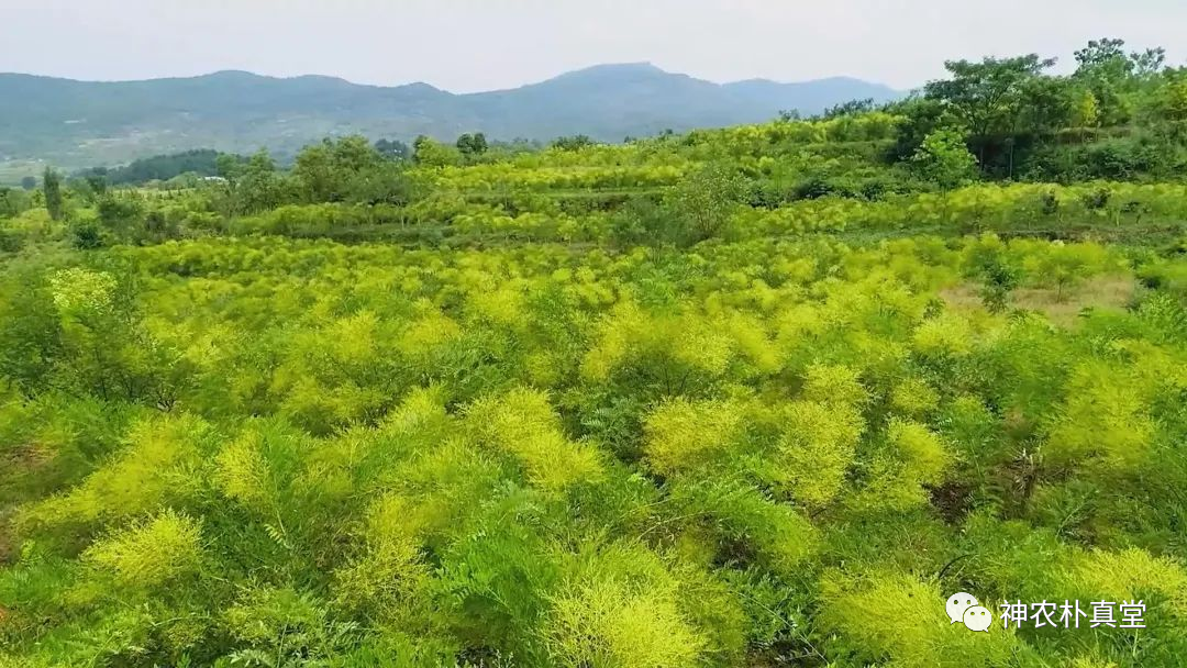 1708420716704475.png 640 (13).png