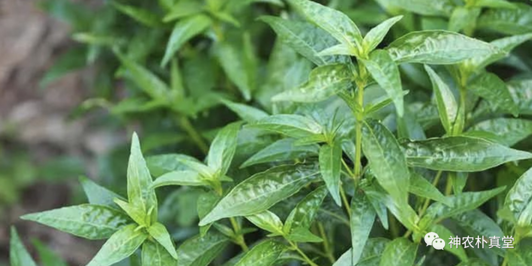 1708420762827018.png 640 (17).png