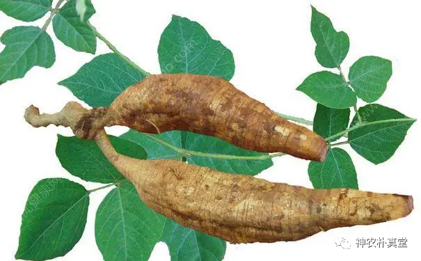 1708420769493717.png 640 (18).png