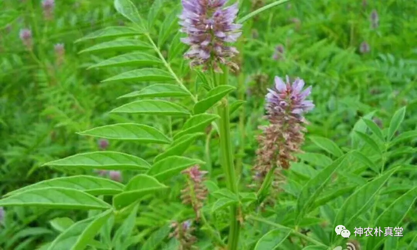 1708421047412926.png 640.png