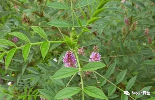 1708421086240094.png 640 (3).png