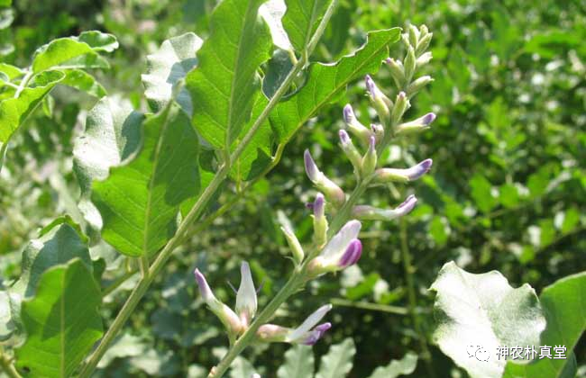 1708421262197205.png 640 (5).png