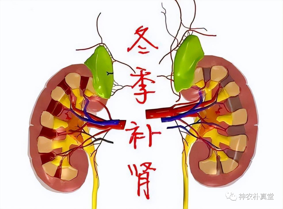 1708480602334836.png 640 (2).png