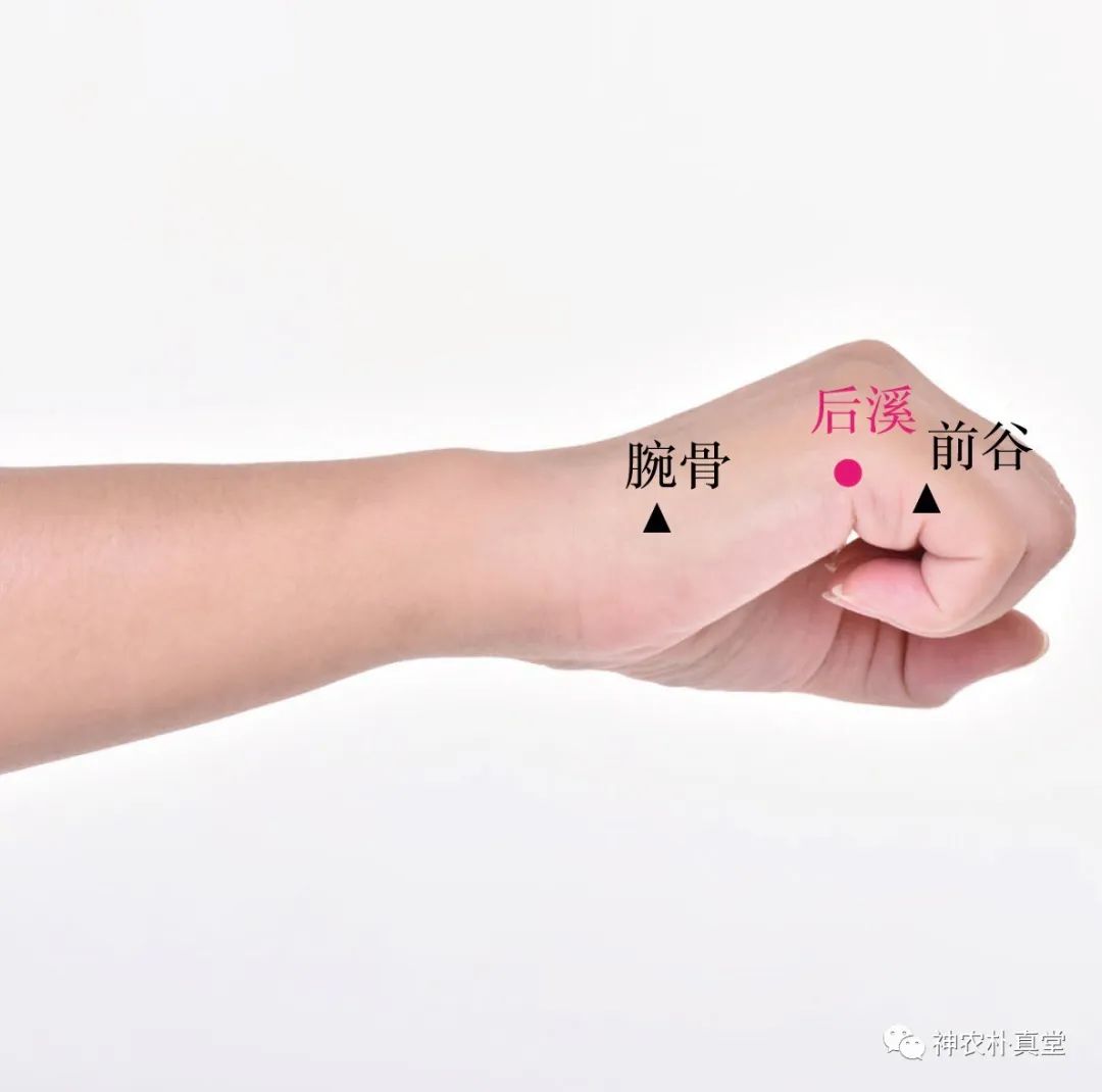 1708480976691606.jpg 640 (1).jpg