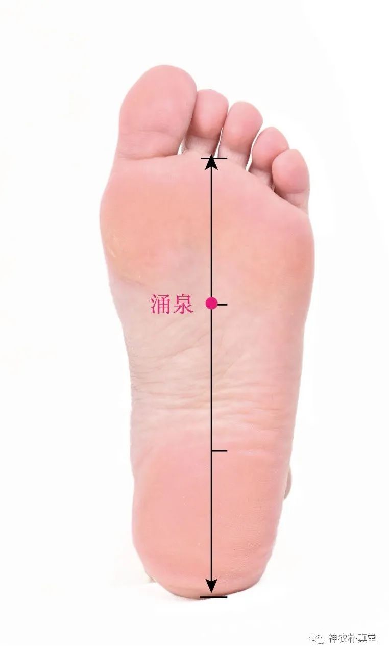 1708481031516216.jpg 640 (6).jpg