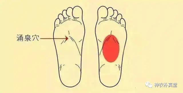 1708481138674919.png 640 (1).png