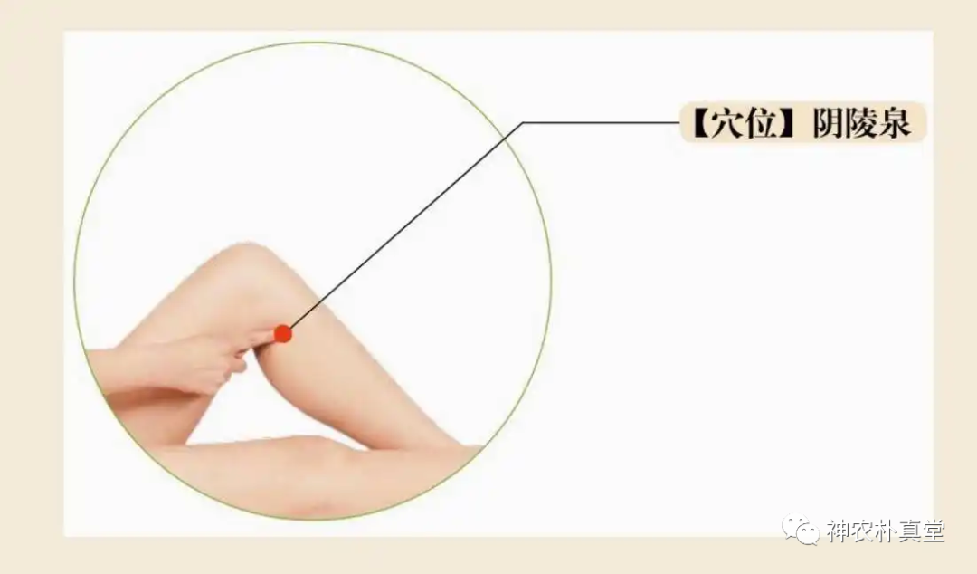 1708481169231192.png 640 (3).png