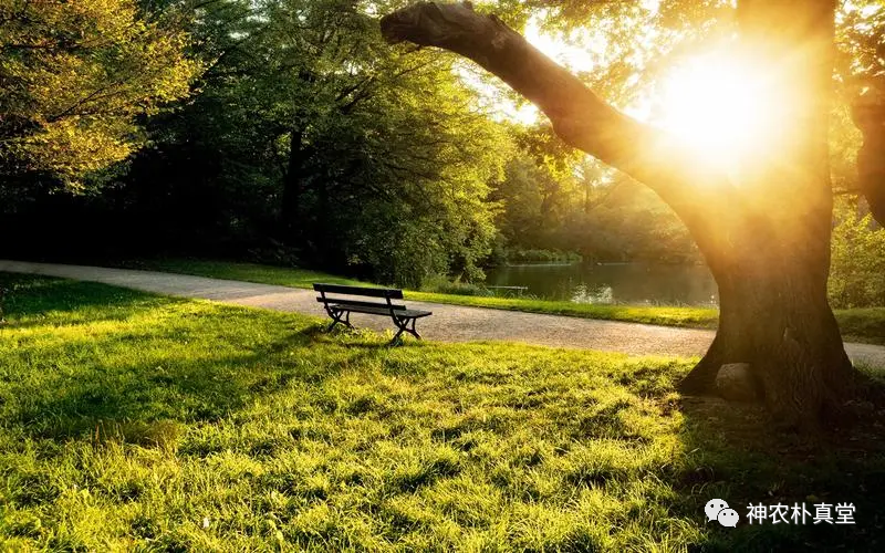 1708481943569397.png 640.png