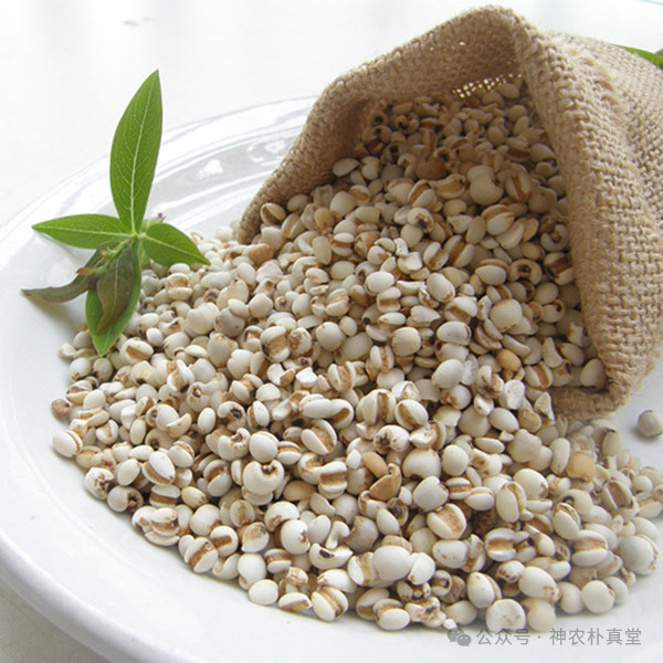 1708482185479986.png 640 (3).png