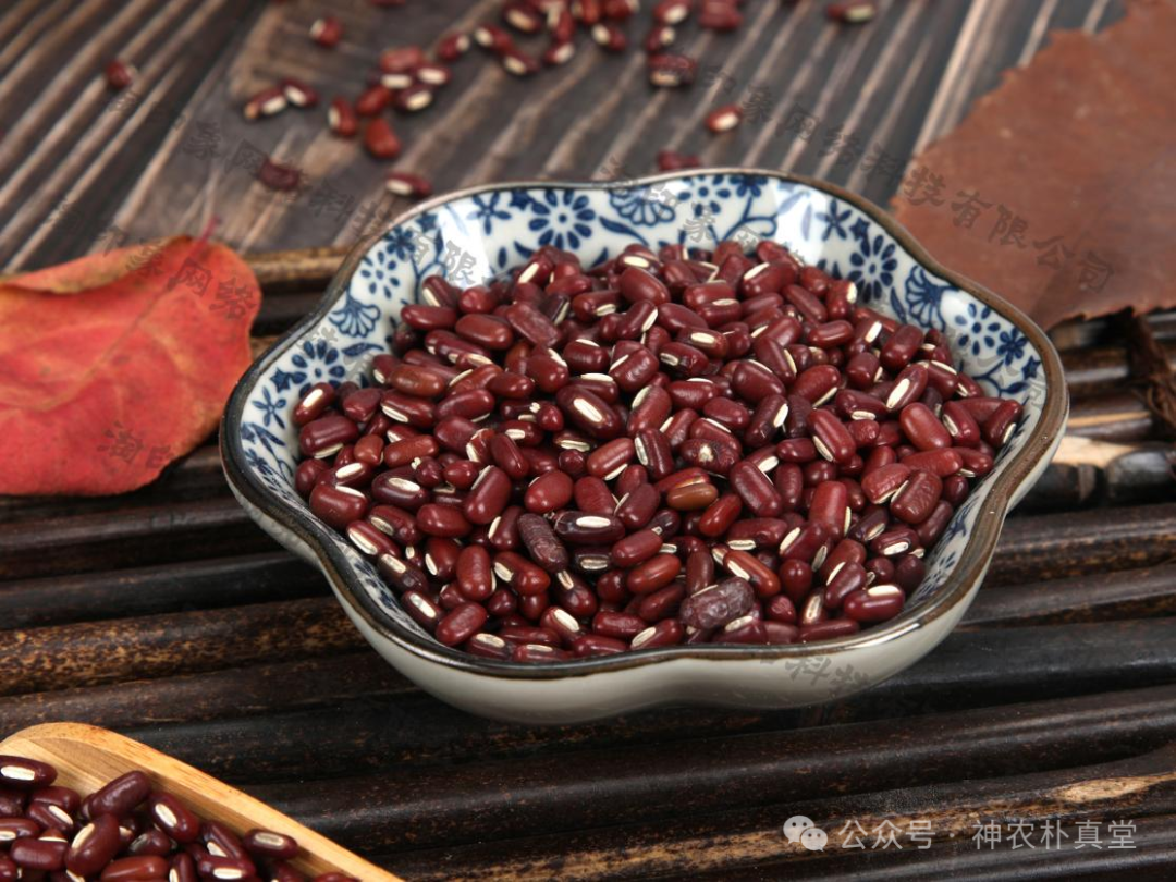 1708482213730205.png 640 (5).png