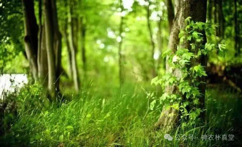 1708482457516475.png 640 (2).png