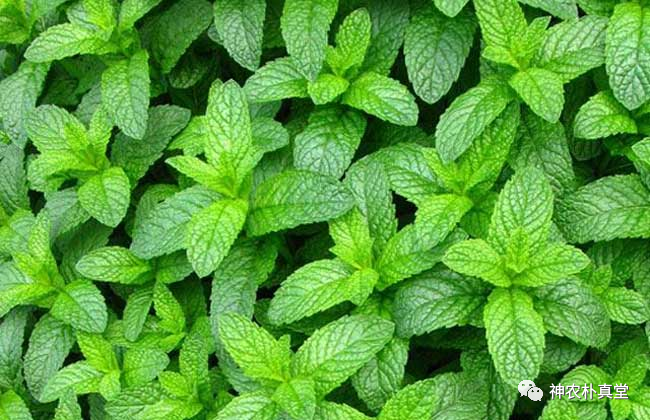 1708482915995558.png 640 (7).png