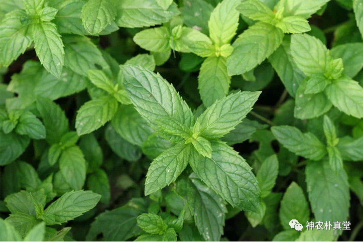 1708482937856762.png 640 (8).png