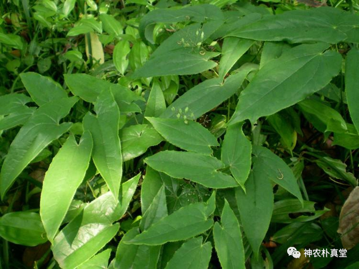 1708483135805199.png 640.png