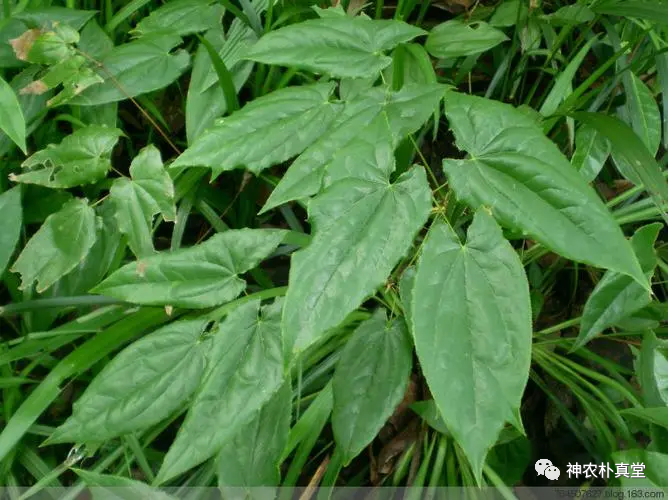 1708483162798107.png 640 (1).png