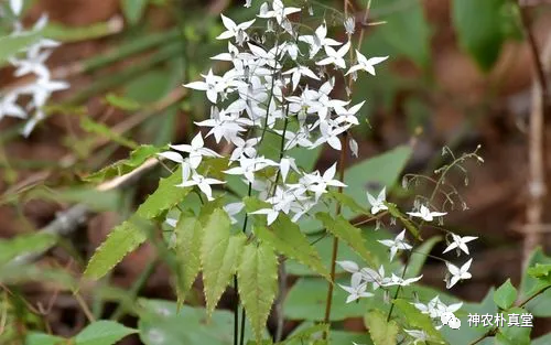 1708483173697954.png 640 (2).png