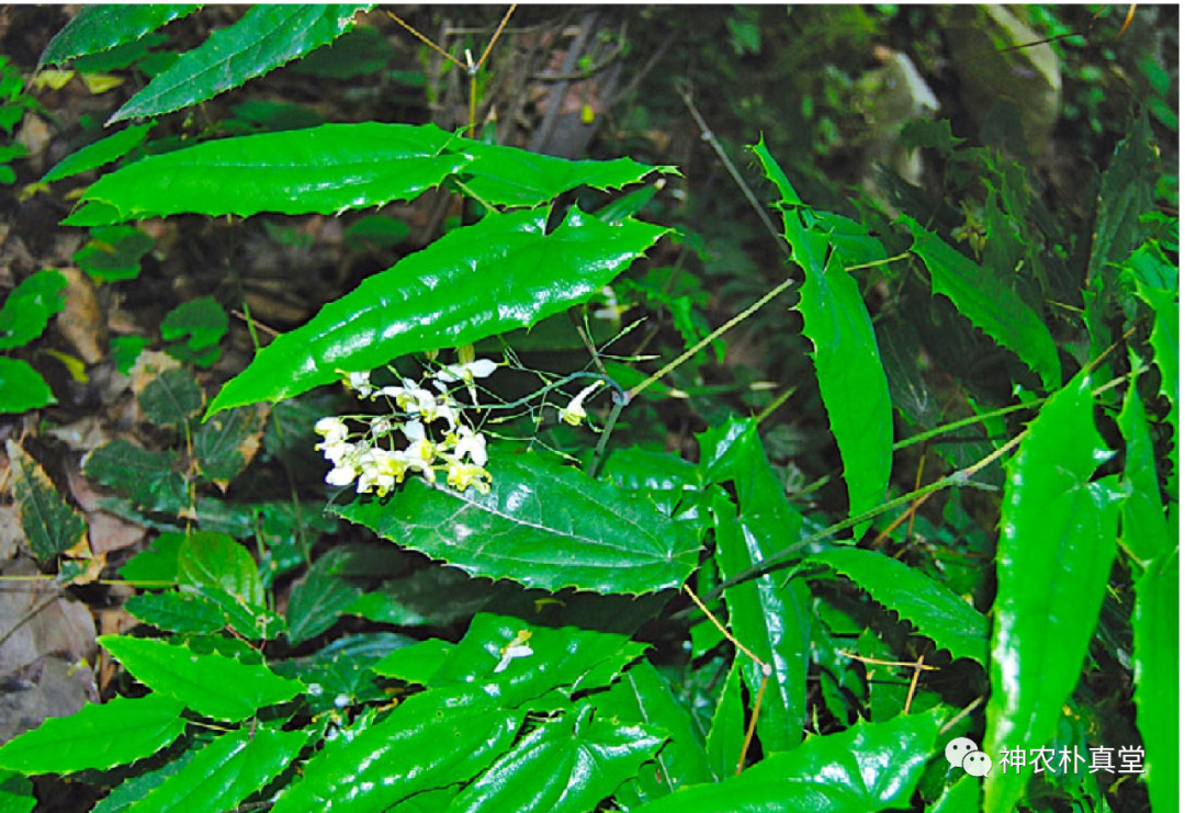 1708483184874295.png 640 (3).png