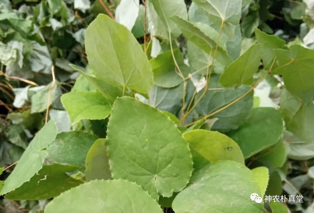 1708483200790007.jpg 640.jpg