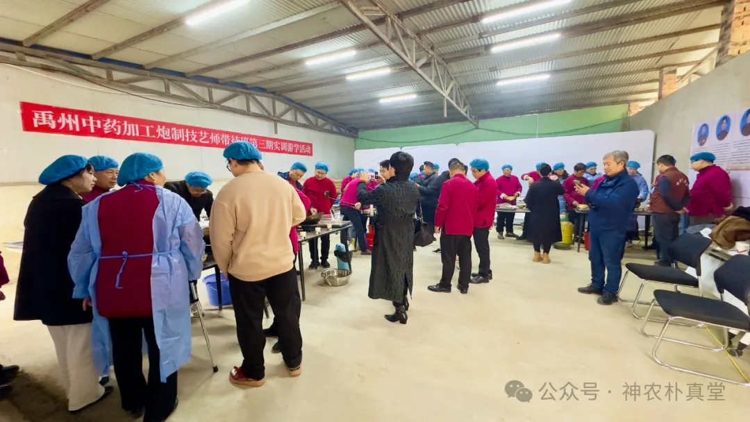 1733106003584869.jpg 6401.JPG