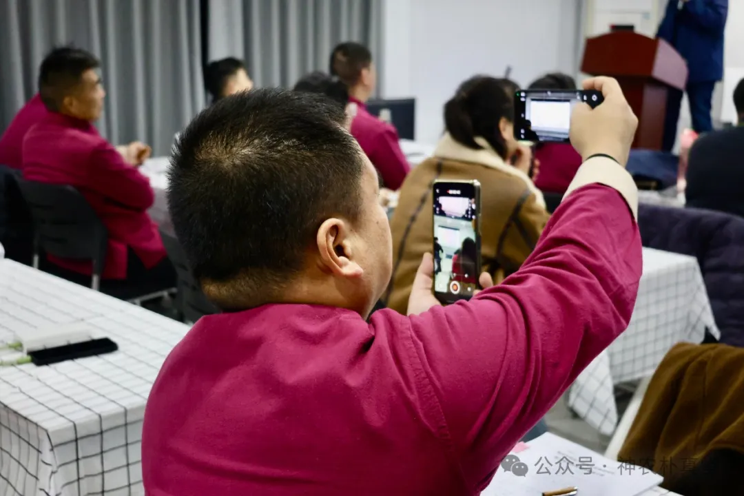 1733106252590694.jpg 6405.JPG