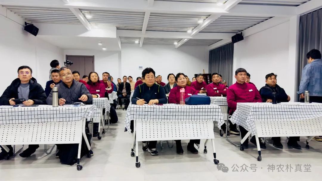 1733106258374043.jpg 6406.JPG