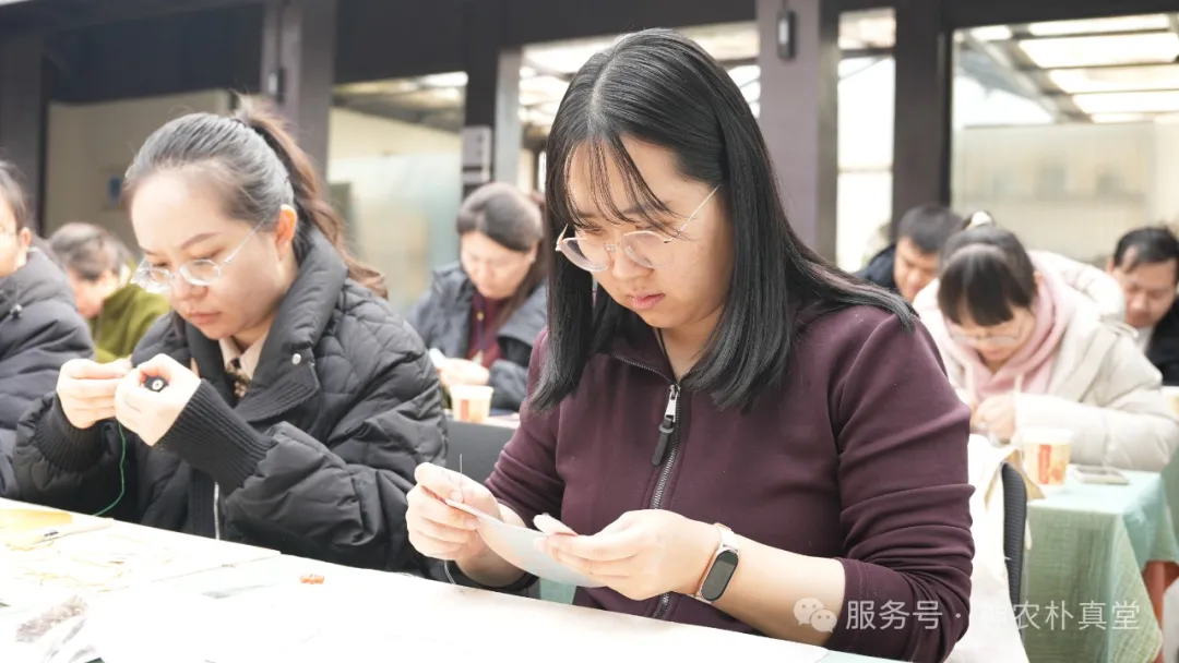 1741916422664331.jpg 6403.JPG