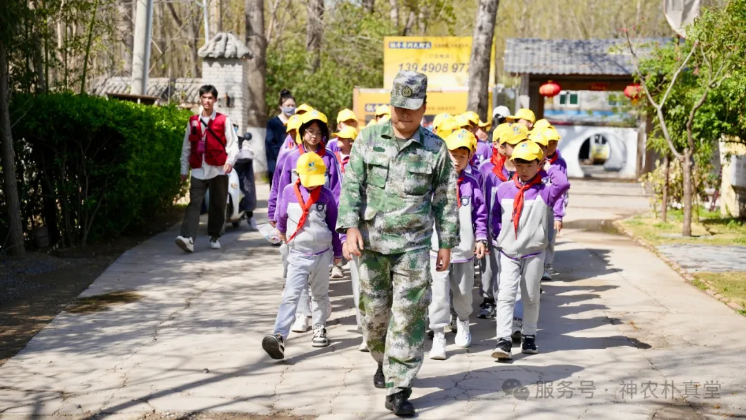 1744353474543047.jpg 2.jpg