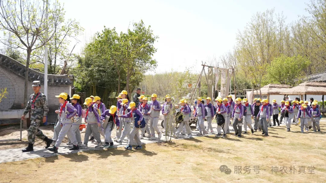 1744353484791163.jpg 4.jpg