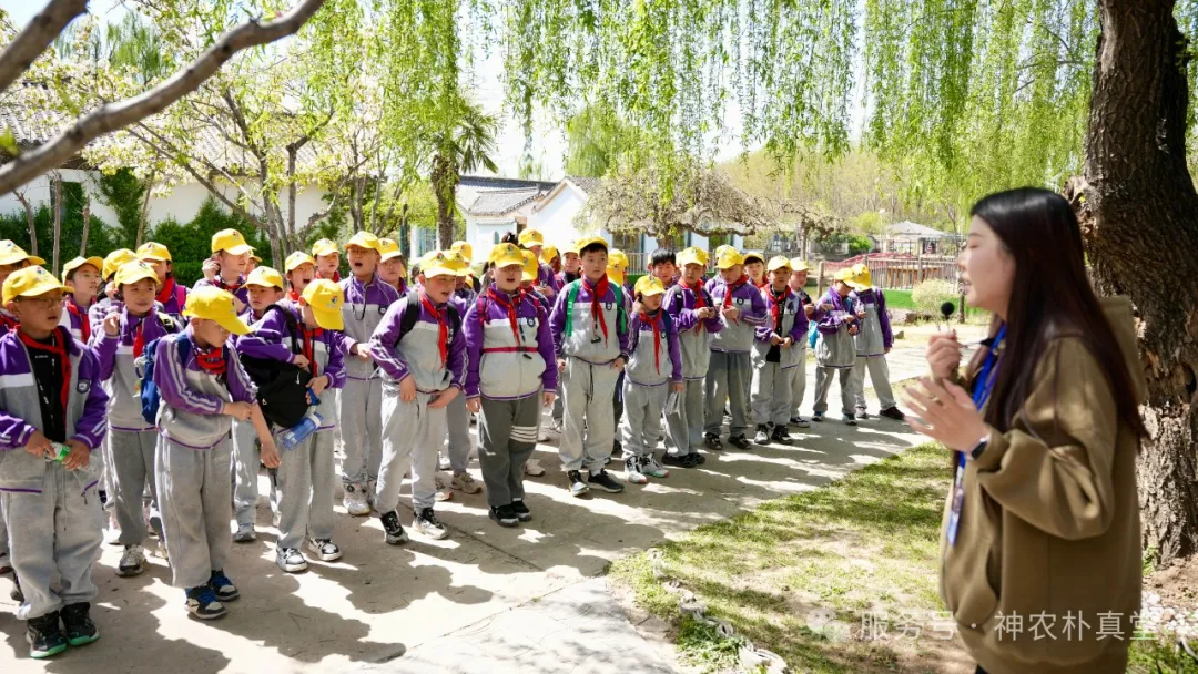 1744353851818845.jpg 1.jpg