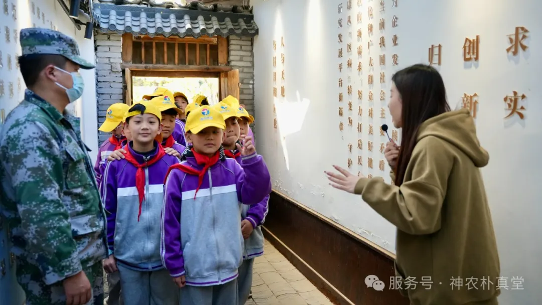 1744353859967846.jpg 2.jpg