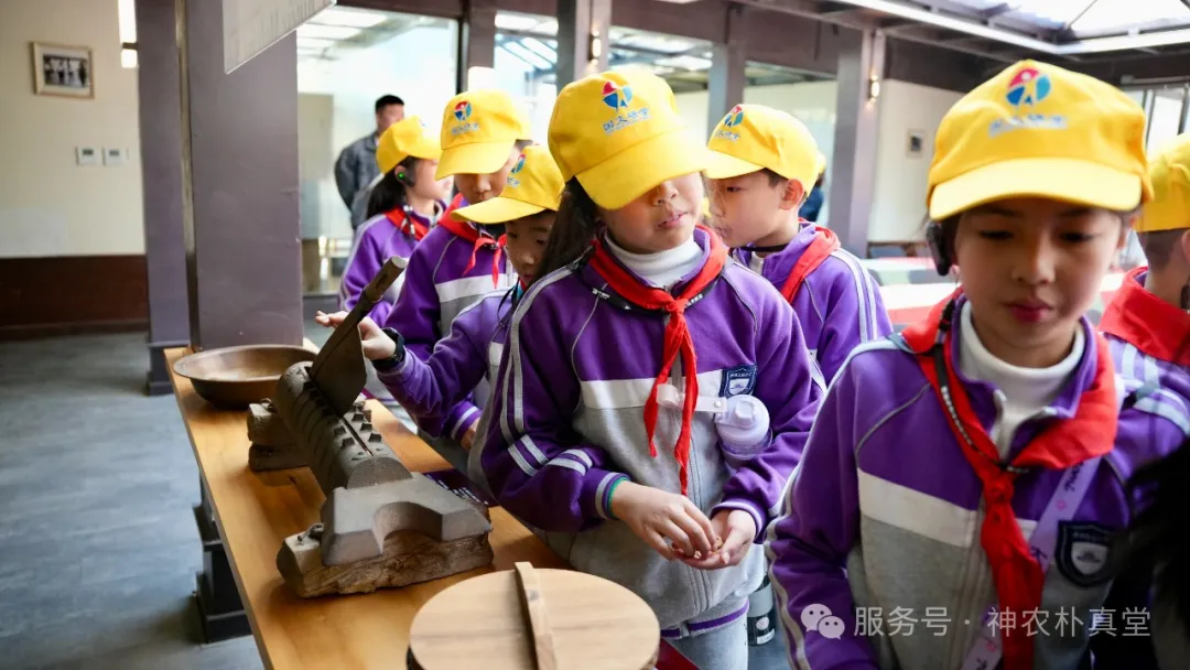 1744353970657172.jpg 3.jpg