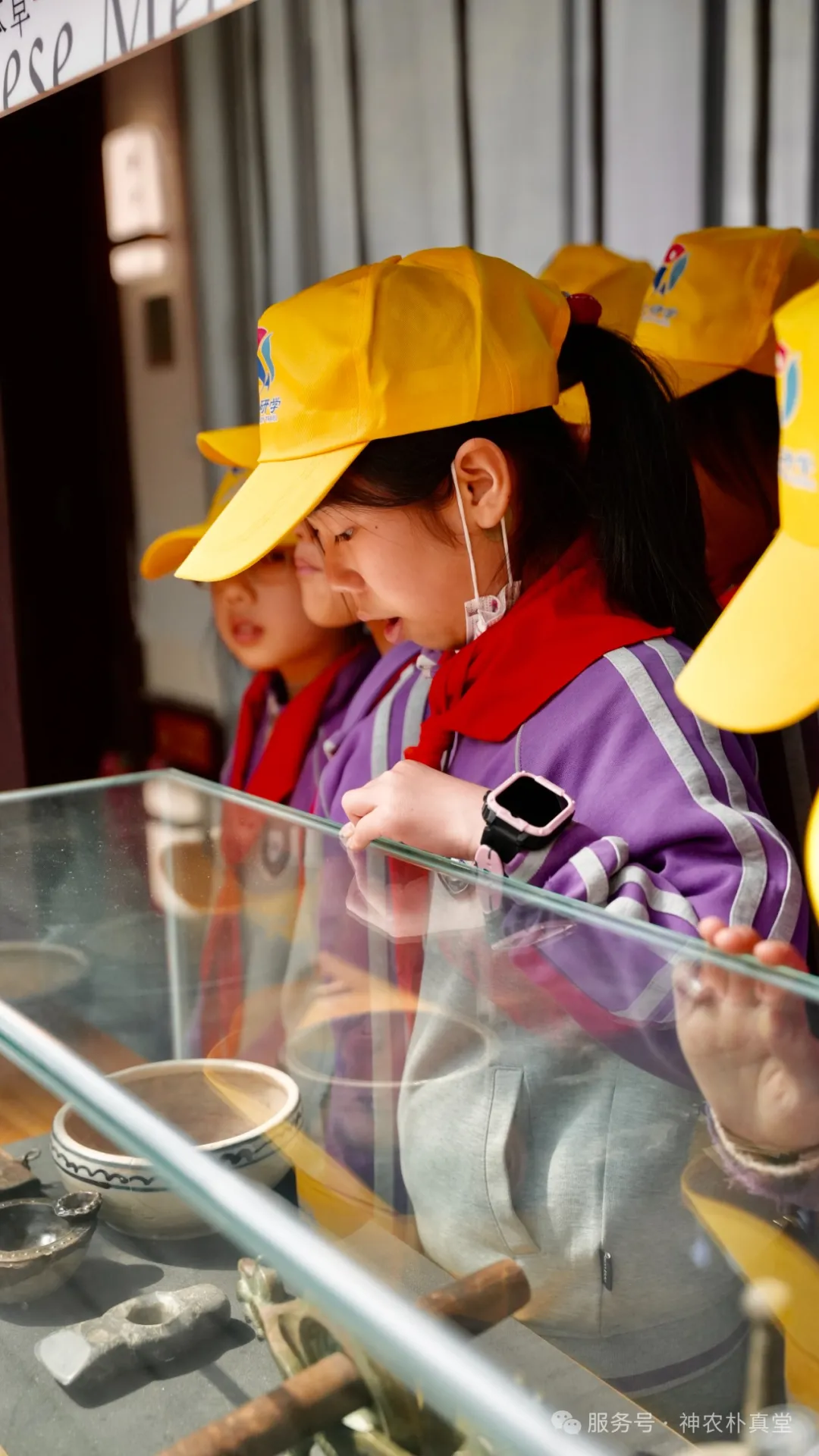 1744354078816763.jpg 1.jpg