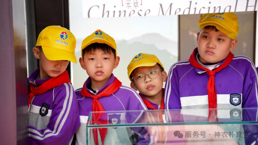 1744354387389936.jpg 3.jpg