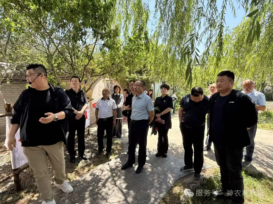 1750233125827138.jpg 6401.jpg